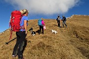 CIMA GREM (2049 m) con neve novembrina e al BIVACCO TELINI (1647 m) il 20 novembre 2017 - FOTOGALLERY